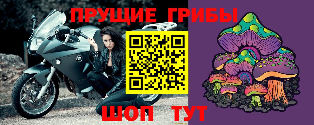 Псилоцибиновые грибы мухоморы  Вход с VPN  где продают   Кыштым  Псилоцибиновые грибы мухоморы 